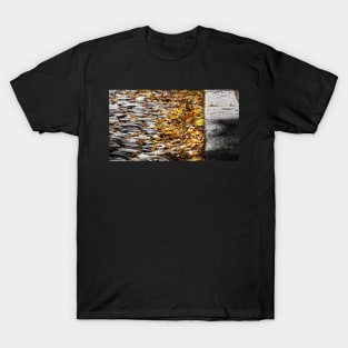 Autumn Street T-Shirt